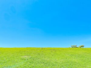 新年度、住まいも気持ちもリフレッシュしませんか？